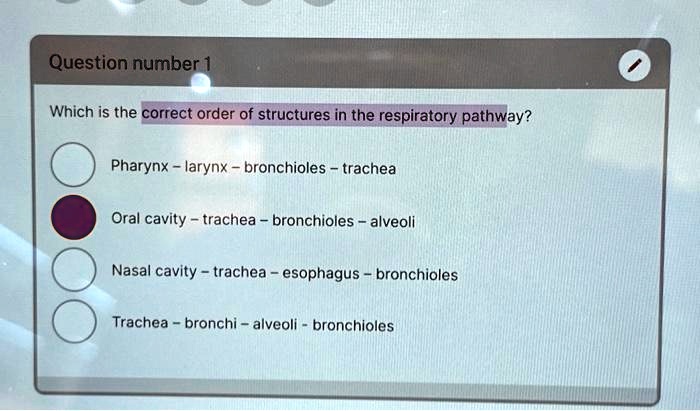 SOLVED: Question number1 Which is the correct order of structures in ...