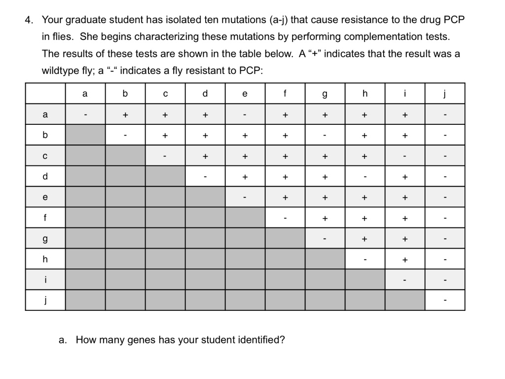 4. Your graduate student has isolated ten mutations (a-j) that cause resistance to the drug PCP in flies. She begins characterizing these mutations by performing complementation tests. The results of these tests are shown in the table below. A "+" indicates that the result was a wildtype fly; a "-" indicates a fly resistant to PCP:

| | a | b | c | d | e | f | g | h | i | j |
|—|—|—|—|—|—|—|—|—|—|—|
| a | - | + | + | + | - | + | + | + | + | - |
| b | | - | + | + | + | + | - | + | + | - |
| c | | | - | + | + | + | + | + | - | - |
| d | | | | - | + | + | + | - | + | - |
| e | | | | | - | + | + | + | + | - |
| f | | | | | | - | + | + | + | - |
| g | | | | | | | - | + | + | - |
| h | | | | | | | | - | + | - |
| i | | | | | | | | | - | - |
| j | | | | | | | | | | - |

a. How many genes has your student identified?