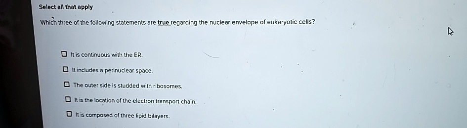 select all that apply which three of the following statements are true regarding the nuclear envelope of eukaryotic cells it is continuous with the er it includes a perinuclear space the out 22348