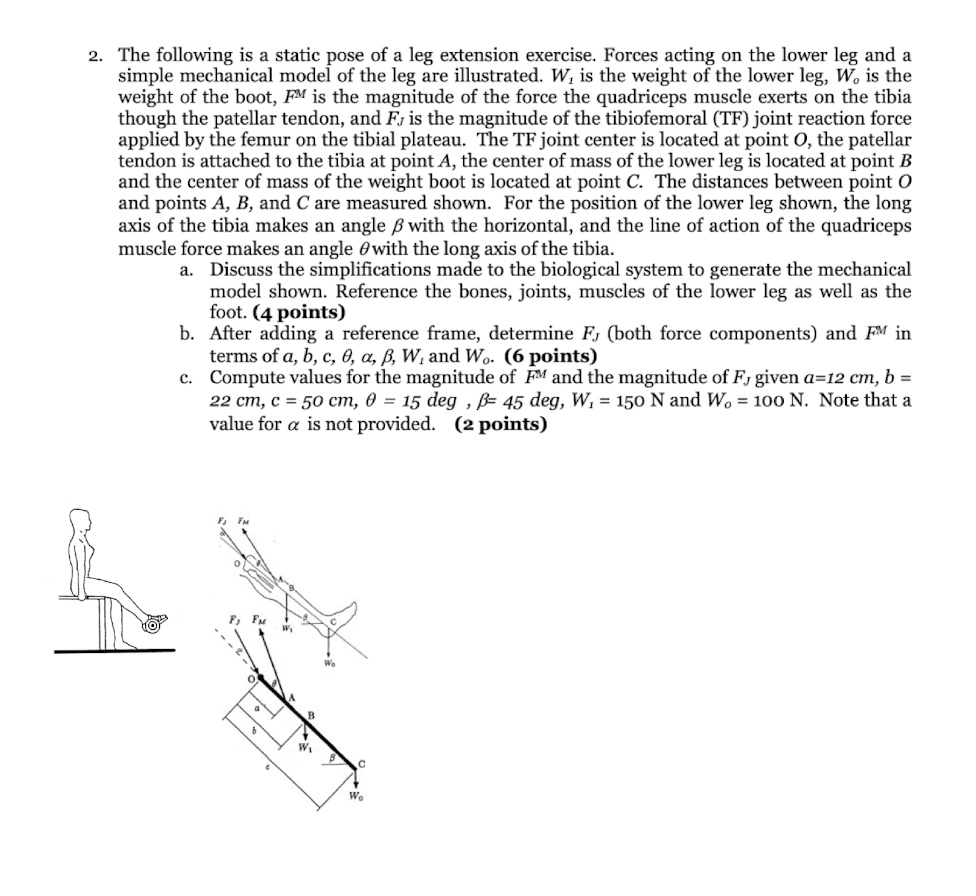 SOLVED: 2. The following is a static pose of a leg extension exercise ...