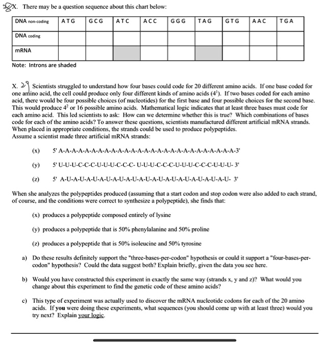 There may be a question sequence about this chart below:

| DNA non-coding | A T G | G C G | A T C | A C C | G G G | T A G | G T G | A A C | T G A |
| :— | :— | :— | :— | :— | :— | :— | :— | :— | :— |
| DNA coding | | | | | | | | | |
| mRNA | | | | | | | | | |

Note: Introns are shaded

Scientists struggled to understand how four bases could code for 20 different amino acids. If one base coded for one amino acid, the cell could produce only four different kinds of amino acids (4¹). If two bases coded for each amino acid, there would be four possible choices (of nucleotides) for the first base and four possible choices for the second base. This would produce 4² or 16 possible amino acids. Mathematical logic indicates that at least three bases must code for each amino acid. This led scientists to ask: How can we determine whether this is true? Which combinations of bases code for each of the amino acids? To answer these questions, scientists manufactured different artificial mRNA strands. When placed in appropriate conditions, the strands could be used to produce polypeptides.
Assume a scientist made three artificial mRNA strands:

(x) 5' A-A-A-A-A-A-A-A-A-A-A-A-A-A-A-A-A-A-A-A-A-A-A-A-3'
(y) 5' U-U-U-C-C-C-U-U-U-C-C-C- U-U-U-C-C-C-U-U-U-C-C-C-U-U-U- 3'
(z) 5' A-U-A-U-A-U-A-U-A-U-A-U-A-U-A-U-A-U-A-U-A-U-A-U- 3'

When she analyzes the polypeptides produced (assuming that a start codon and stop codon were also added to each strand, of course, and the conditions were correct to synthesize a polypeptide), she finds that:

(x) produces a polypeptide composed entirely of lysine
(y) produces a polypeptide that is 50% phenylalanine and 50% proline
(z) produces a polypeptide that is 50% isoleucine and 50% tyrosine

a) Do these results definitely support the "three-bases-per-codon" hypothesis or could it support a "four-bases-per-codon" hypothesis? Could the data suggest both? Explain briefly, given the data you see here.

b) Would you have constructed this experiment in exactly the same way (strands x, y and z)? What would you change about this experiment to find the genetic code of these amino acids?

c) This type of experiment was actually used to discover the mRNA nucleotide codons for each of the 20 amino acids. If you were doing these experiments, what sequences (you should come up with at least three) would you try next? Explain your logic.