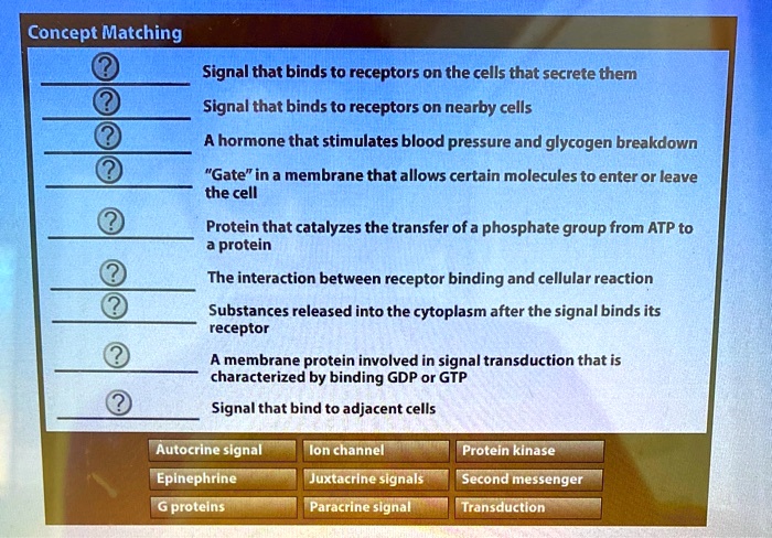 Concept Matching
Signal that binds to receptors on the cells that secrete them
Signal that binds to receptors on nearby cells
A hormone that stimulates blood pressure and glycogen breakdown
"Gate" in a membrane that allows certain molecules to enter or leave the cell
Protein that catalyzes the transfer of a phosphate group from ATP to a protein
The interaction between receptor binding and cellular reaction
Substances released into the cytoplasm after the signal binds its receptor
A membrane protein involved in signal transduction that is characterized by binding GDP or GTP
Signal that bind to adjacent cells
Autocrine signal
Ion channel
Protein kinase
Epinephrine
Juxtacrine signals
Second messenger
G proteins
Paracrine signal
Transduction