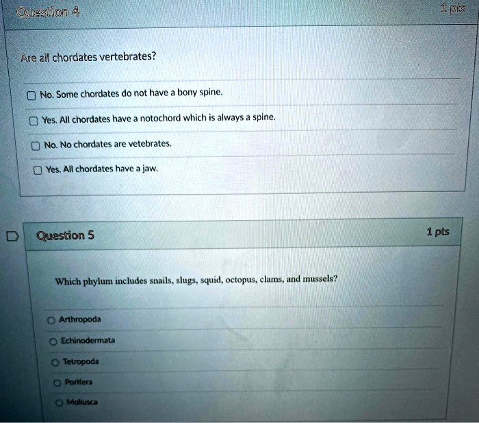 SOLVED: Question 4 Are all chordates vertebrates? No: Some chordates do