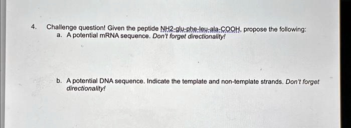 4. Challenge question! Given the peptide NH2-glu-phe-leu-ala-COOH, propose the following:
a. A potential mRNA sequence. Don't forget directionality!
b. A potential DNA sequence. Indicate the template and non-template strands. Don't forget
directionality!