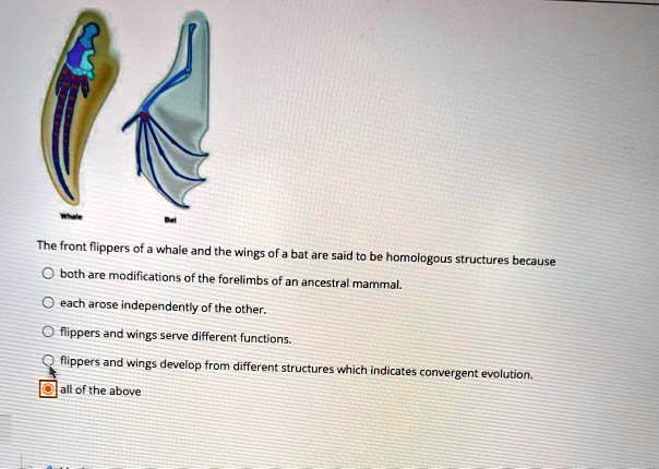 SOLVED: The front flippers ot whale and the wings of a bJt are said