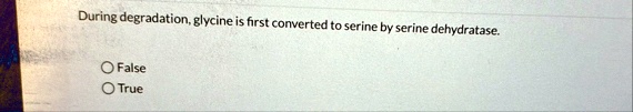 during degradation glycine is first converted to serine by serine dehydratase false true 11937