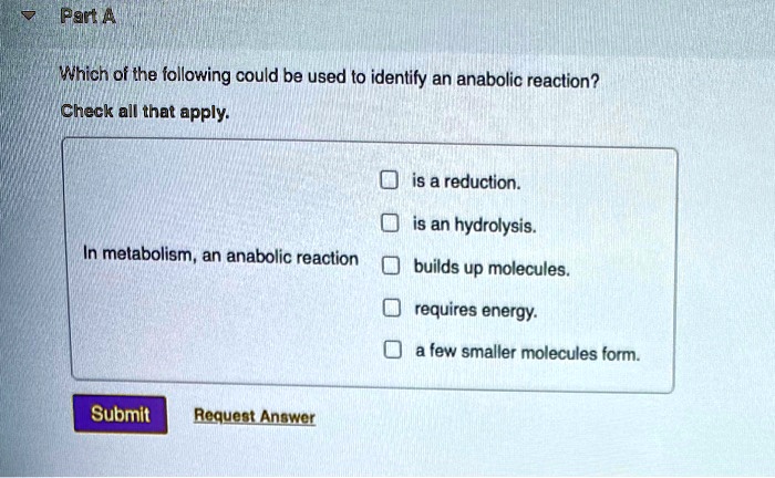 Which Of The Following Is An Anabolic Reaction SOLVED: Part: A Which of the following could be used to identify an