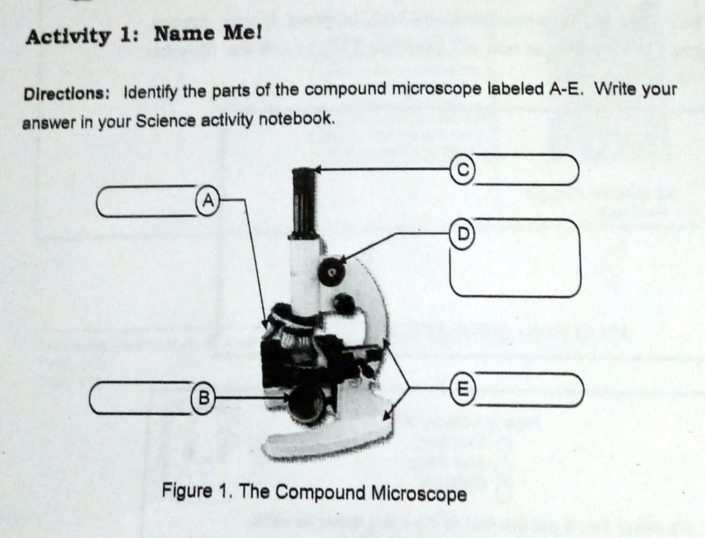 SOLVED Activity 1 Name Me! Directions Identify the parts of the