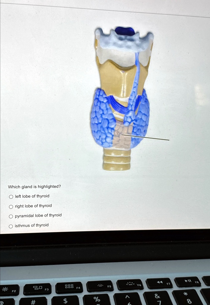 enlargement of the right lobe of the thyroid gland. icd 10