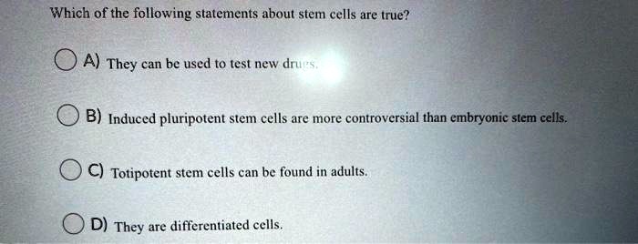 Which of the following statements about stem cells are true?

A) They can be used to test new drugs.
B) Induced pluripotent stem cells are more controversial than embryonic stem cells.
C) Totipotent stem cells can be found in adults.
D) They are differentiated cells.