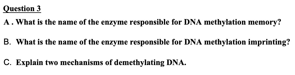 Question 3
A . What is the name of the enzyme responsible for DNA methylation memory?
B. What is the name of the enzyme responsible for DNA methylation imprinting?
C. Explain two mechanisms of demethylating DNA.
