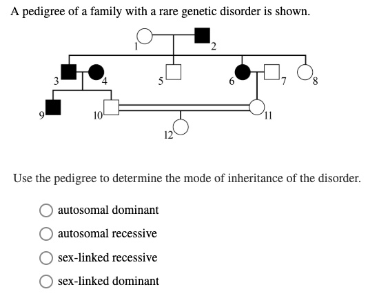 A pedigree of a family with a rare genetic disorder is shown.
Use the pedigree to determine the mode of inheritance of the disorder.
autosomal dominant
autosomal recessive
sex-linked recessive
sex-linked dominant