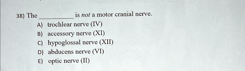 38) The is not a motor cranial nerve. A) trochlear nerve (IV) B