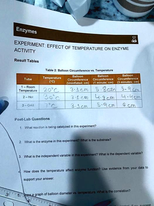 effect of temperature on enzyme activity lab report
