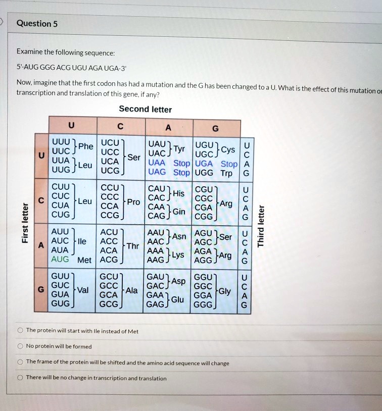 Examine the following sequence 5'AUG GGG ACG UGU AGA UGA3" Now