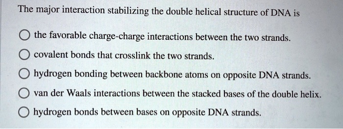 The major interaction stabilizing the double helical structure of DNA is

the favorable charge-charge interactions between the two strands.
covalent bonds that crosslink the two strands.
hydrogen bonding between backbone atoms on opposite DNA strands.
van der Waals interactions between the stacked bases of the double helix.
hydrogen bonds between bases on opposite DNA strands.