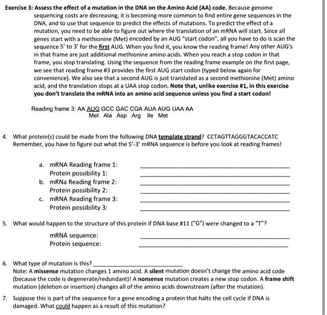 Exercise 3: Assess the effect of a mutation in the DNA on the Amino Acid (AA) code. Because genome sequencing costs are decreasing, it is becoming more common to find entire gene sequences in the DNA, and to use that sequence to predict the effects of mutations. To predict the effect of a mutation, you need to be able to figure out where the translation of an mRNA will start. Since all genes start with a methionine (Met) encoded by an AUG "start codon", all you have to do is scan the sequence 5' to 3' for the first AUG. When you find it, you know the reading frame! Any other AUG's in that frame are just additional methionine amino acids. When you reach a stop codon in that frame, you stop translating. Using the sequence from the reading frame example on the first page, we see that reading frame #3 provides the first AUG start codon (typed below again for convenience). We also see that a second AUG is just translated as a second methionine (Met) amino acid, and the translation stops at a UAA stop codon. Note that, unlike exercise #1, in this exercise you don't translate the mRNA into an amino acid sequence unless you find a start codon!

Reading frame 3: AA AUG GCC GAC CGA AUA AUG UAA AA
Met Ala Asp Arg Ile Met

4. What protein(s) could be made from the following DNA template strand? CCTAGTTAGGGTACACCATC
Remember, you have to figure out what the 5'-3' mRNA sequence is before you look at reading frames!

a. mRNA Reading frame 1:
Protein possibility 1:
b. mRNA Reading frame 2:
Protein possibility 2:
c. mRNA Reading frame 3:
Protein possibility 3:

5. What would happen to the structure of this protein if DNA base #11 ("G") were changed to a "T"?

mRNA sequence:
Protein sequence:

6. What type of mutation is this?
Note: A missense mutation changes 1 amino acid. A silent mutation doesn't change the amino acid code (because the code is degenerate/redundant)! A nonsense mutation creates a new stop codon. A frame shift mutation (deletion or insertion) changes all of the amino acids downstream (after the mutation).

7. Suppose this is part of the sequence for a gene encoding a protein that halts the cell cycle if DNA is damaged. What could happen as a result of this mutation?