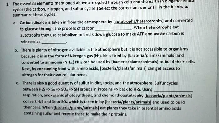 1. The essential elements mentioned above are cycled through cells and the earth in biogeochemical cycles (the carbon, nitrogen, and sulfur cycles.) Select the correct answer or fill in the blanks to summarize these cycles:

a. Carbon dioxide is taken in from the atmosphere by [autotrophs/heterotrophs] and converted to glucose through the process of carbon . When heterotrophs eat autotrophs they use catabolism to break down glucose to make ATP and waste carbon is released as .

b. There is plenty of nitrogen available in the atmosphere but it is not accessible to organisms because it is in the form of Nitrogen gas (N2). N2 is fixed by [bacteria/plants/animals] and converted to ammonia (NH3.) NH3 can be used by [bacteria/plants/animals] to build their cells. Next, by consuming food with amino acids, [bacteria/plants/animals] can get access to nitrogen for their own cellular needs.

c. There is also a good quantity of sulfur in dirt, rocks, and the atmosphere. Sulfur cycles between H2S => S0 => SO4 => SH groups in Proteins => back to H2S. Using  respiration, anoxygenic photosynthesis, and chemolithoautotrophy [bacteria/plants/animals] convert H2S and S0 to SO4 which is taken in by [bacteria/plants/animals] and used to build their cells. When [bacteria/plants/animals] eat plants they take in essential amino acids containing sulfur and recycle these to make their proteins.