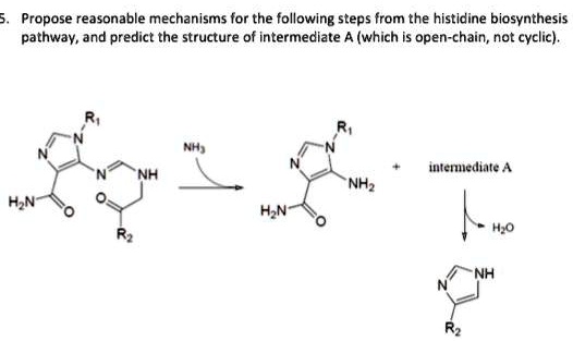 propose reasonable mechanisms for the following steps from the ...