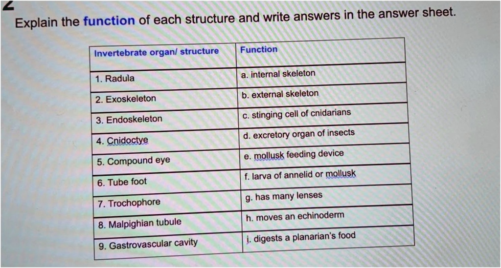 SOLVED: Explain the function of each structure and write answers in the