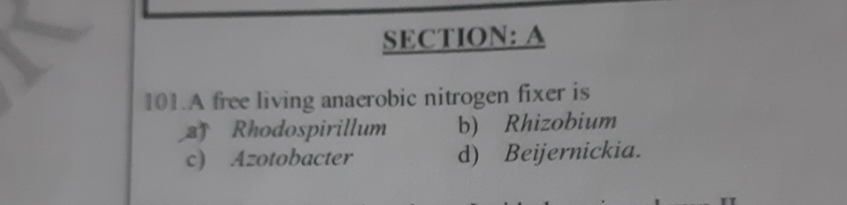 SECTION: A 101 A free living anaerobic nitrogen fixer is a SECTION: A 101 A free living anaerobic nitrogen fixer is a