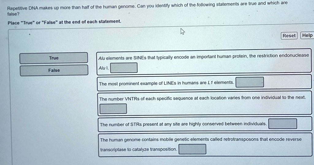 Repetitive DNA makes up more than half of the human genome. Can you identify which of the following statements are true and which are
false?
Place "True" or "False" at the end of each statement.
True
False
Reset Help
Alu elements are SINEs that typically encode an important human protein, the restriction endonuclease
Alu 1.
The most prominent example of LINEs in humans are L1 elements.
The number VNTRs of each specific sequence at each location varies from one individual to the next.
The number of STRs present at any site are highly conserved between individuals.
The human genome contains mobile genetic elements called retrotransposons that encode reverse
transcriptase to catalyze transposition.