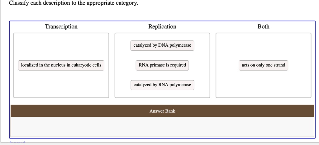 Classify each description to the appropriate category.

Transcription
localized in the nucleus in eukaryotic cells

Replication
catalyzed by DNA polymerase
RNA primase is required
catalyzed by RNA polymerase

Both
acts on only one strand

Answer Bank