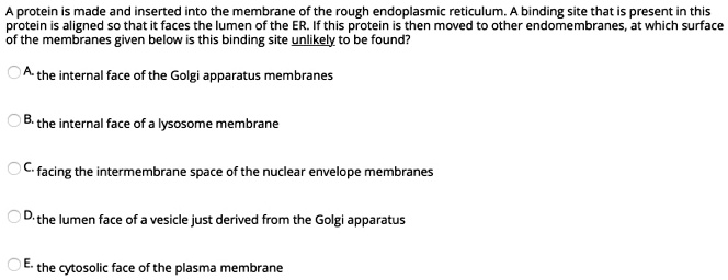 A protein is made and inserted into the membrane of the rough endoplasmic reticulum. A binding site that is present in this
protein is aligned so that it faces the lumen of the ER. If this protein is then moved to other endomembranes, at which surface
of the membranes given below is this binding site unlikely to be found?
A. the internal face of the Golgi apparatus membranes
B. the internal face of a lysosome membrane
C. facing the intermembrane space of the nuclear envelope membranes
D. the lumen face of a vesicle just derived from the Golgi apparatus
E. the cytosolic face of the plasma membrane