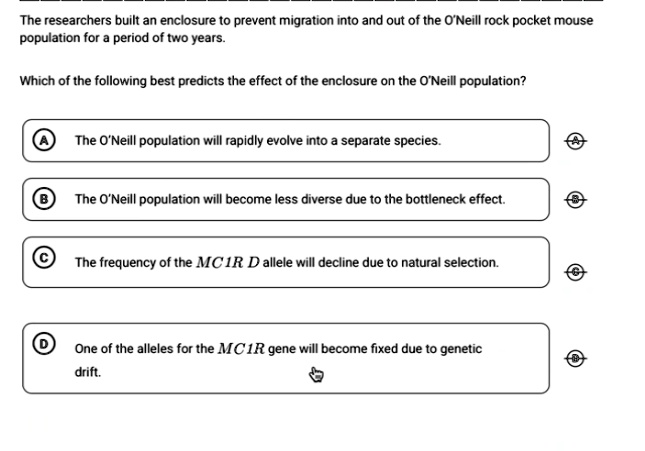 the researchers built an enclosure to prevent migration into and out of the oneill rock pocket mouse population for a period of two years which of the following best predicts the effect of t 95026