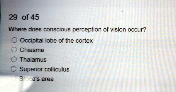 Where does conscious perception of vision occur?
Occipital lobe of the cortex
Chiasma
Thalamus
Superior colliculus
Broca's area