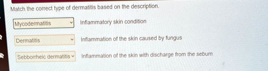 match the correct type of dermatitis based on the description ...