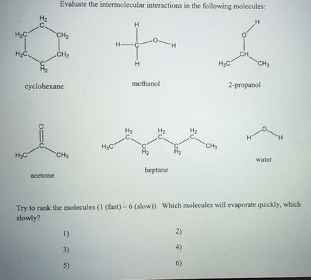 SOLVED Evaluate the intermolecular interactions in the following