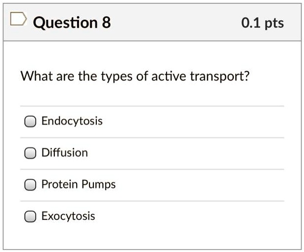 solved-question-8-0-1-pts-what-are-the-types-of-active-transport