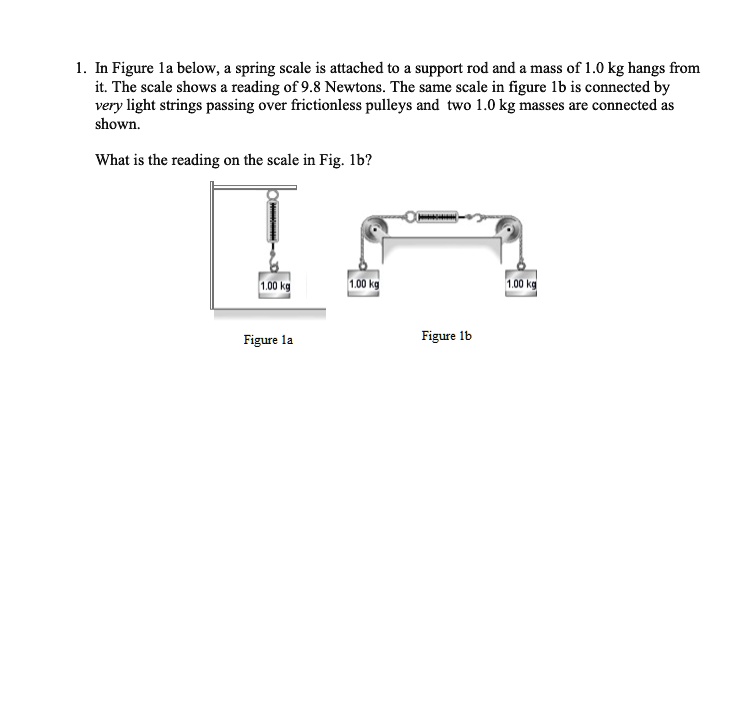 solved-in-figure-la-below-spring-scale-is-attached-to-support-rod-and