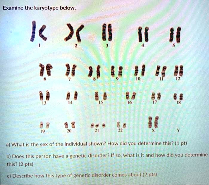 SOLVED: Examine the karyotype below: I a) What is the sex of the ...