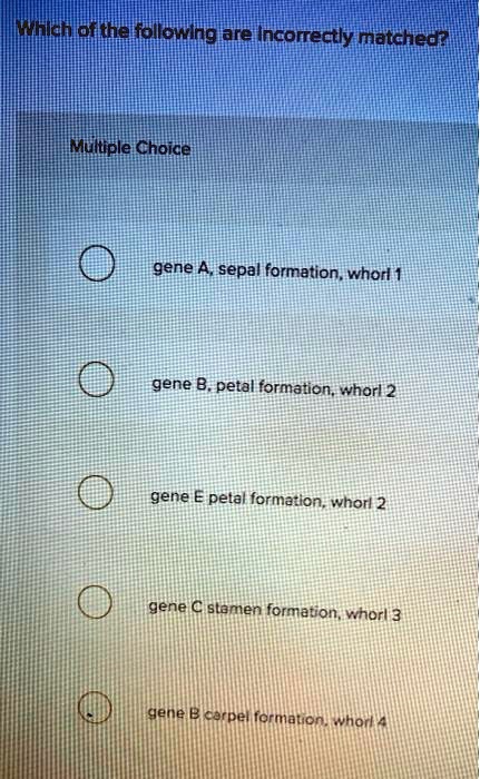 Which of the following are incorrectly matched?
Multiple Choice
gene A, sepal formation, whorl 1
gene B, petal formation, whorl 2
gene E petal formation, whorl 2
gene C stamen formation, whorl 3
gene B carpel formation, whorl 4