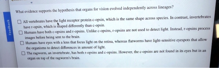 SOLVED: Hypothesis that organs for vision evolved independently across