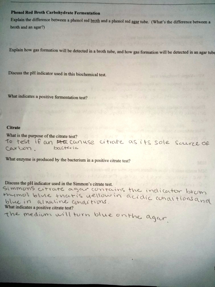 Phenol Red Broth Carbohydrate Fermentation Explain the difference