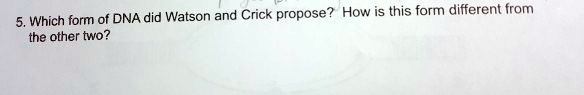 5. Which form of DNA did Watson and Crick propose? How is this form different from the other two?