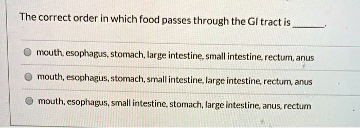 The correct order in which food passes through the GI tract is . mouth, esophagus, stomach, large intestine, small intestine, rectum, anus mouth, esophagus, stomach, small intestine, large intestine, rectum, anus mouth, esophagus, small intestine, stomach, large intestine, anus, rectum