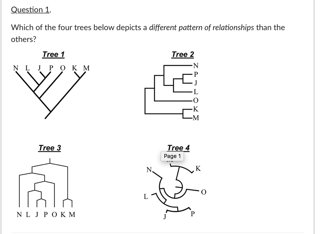 Question 1.
Which of the four trees below depicts a different pattern of relationships than the others?
Tree 1
N L J P O K M
Tree 2
N
P
J
L
O
K
M
Tree 3
N L J P O K M
Tree 4
N
K
O
L
J
P