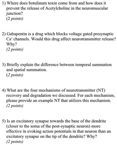 gabapentin mechanism of action dog