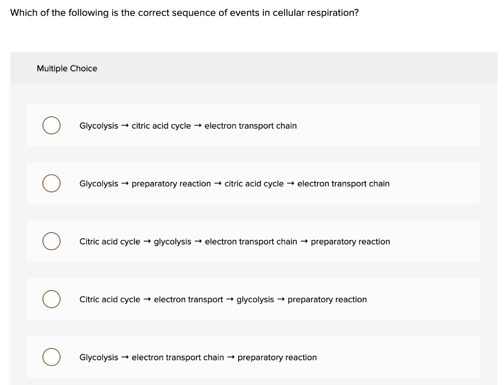 what-is-cellular-respiration-from-food-to-atp