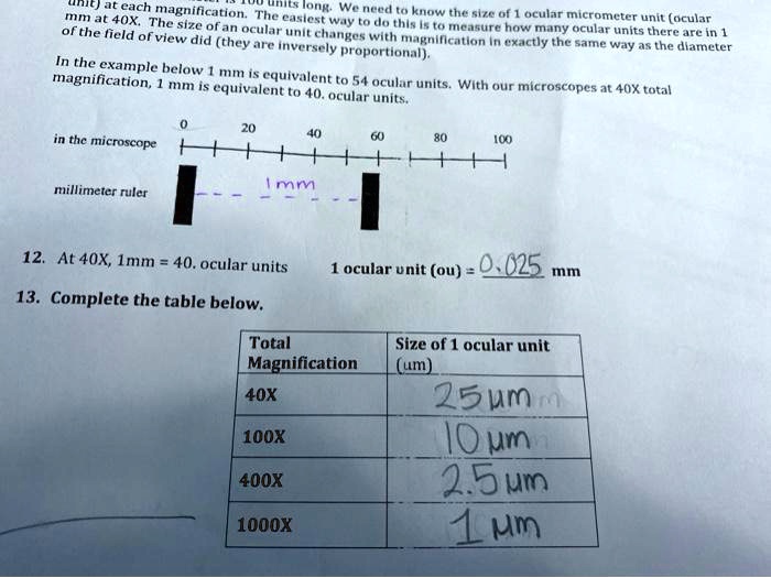 SOLVED Each magnification The long We need to look at 40X. Know the