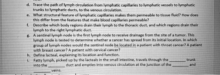 SOLVED: d. Trace the path of lymph circulation from lymphatic ...