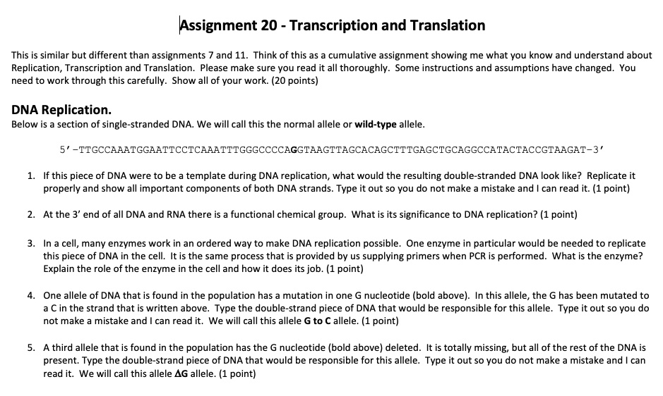 assignment on translation