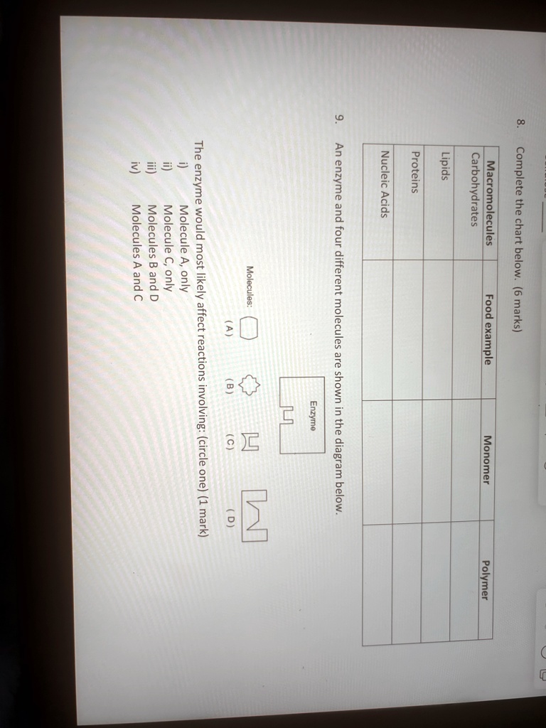 8. Complete the chart below. (6 marks) Macromolecules Food example