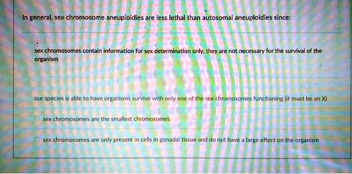 In general, sex chromosome aneuploidies are less lethal than autosomal aneuploidies since: sex chromosomes contain information for sex determination only, they are not necessary for the survival of the organism our species is able to have organisms survive with only one of the sex chromosomes functioning (it must be an X) sex chromosomes are the smallest chromosomes sex chromosomes are only present in cells in gonadal tissue and do not have a large effect on the organism