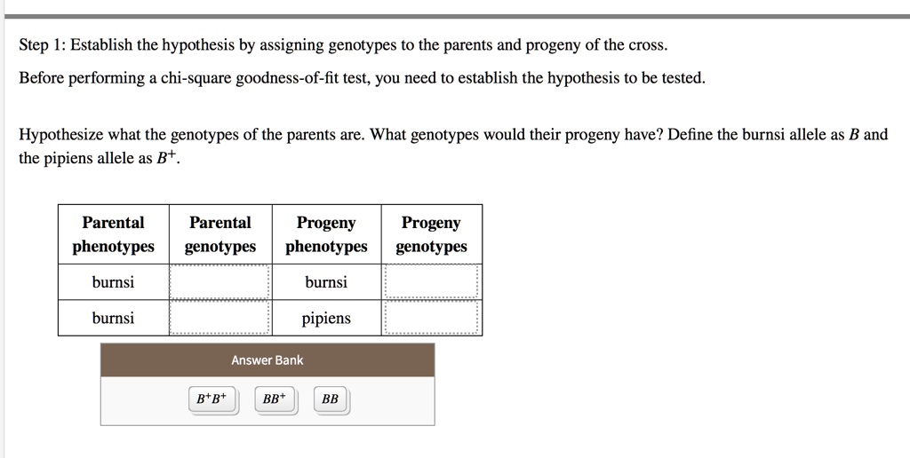 Solved Step Establish The Hypothesis By Assigning Genotypes To The Parents And Progeny Of The Cross Before Performing A Chi Square Goodness Of Fit Test You Need To Establish The Hypothesis To Be Tested Hypothesize