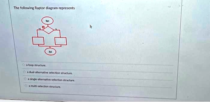 The following Raptor diagram represents a loop structure. a dual ...